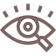 Vision Icon